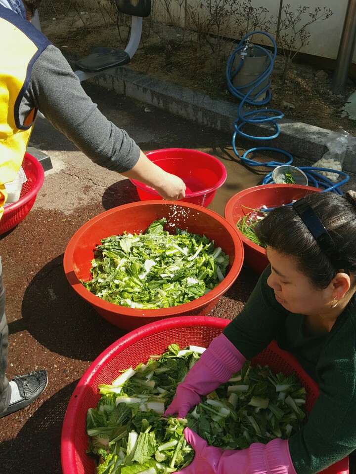 3월 겉절이 담그기 (1).jpg