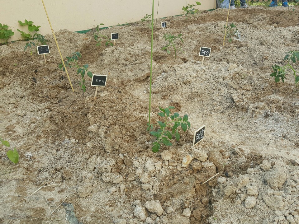 KakaoTalk_20160519_104657313.jpg
