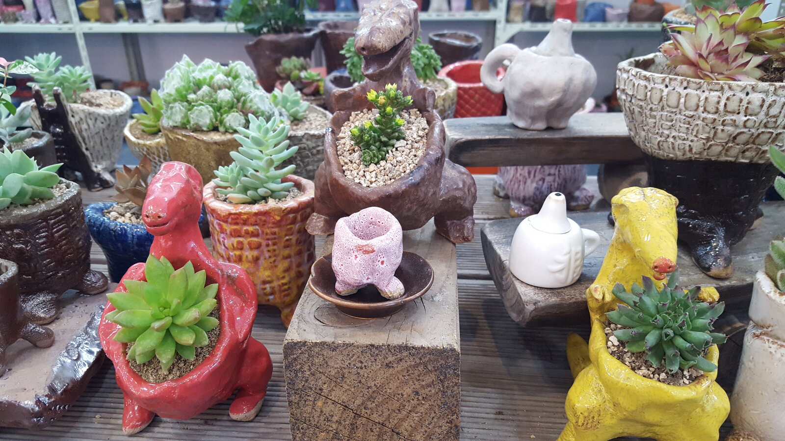 KakaoTalk_20160519_170431315.jpg