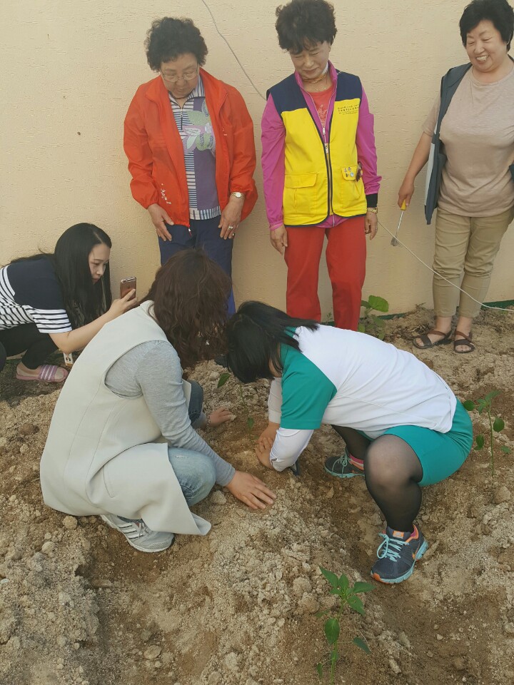 KakaoTalk_20160519_104707955.jpg
