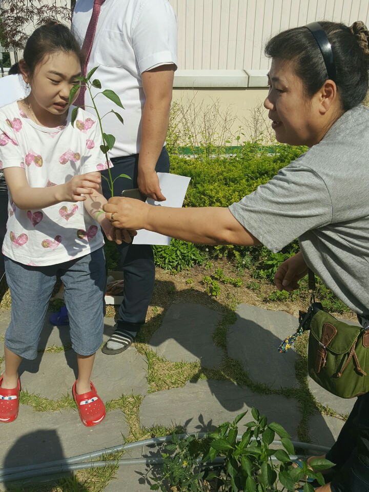 KakaoTalk_20160519_104717956.jpg