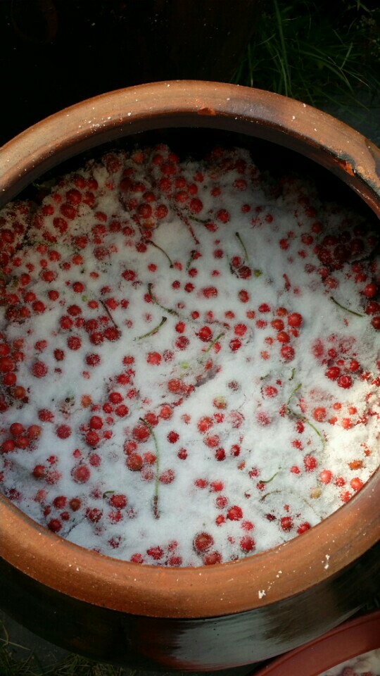 KakaoTalk_20160926_094928530.jpg