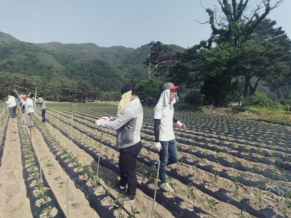 KakaoTalk_20170529_103837175.jpg