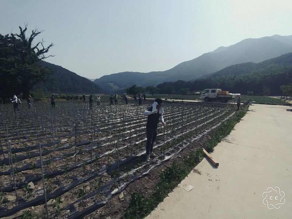 KakaoTalk_20170529_103836371.jpg