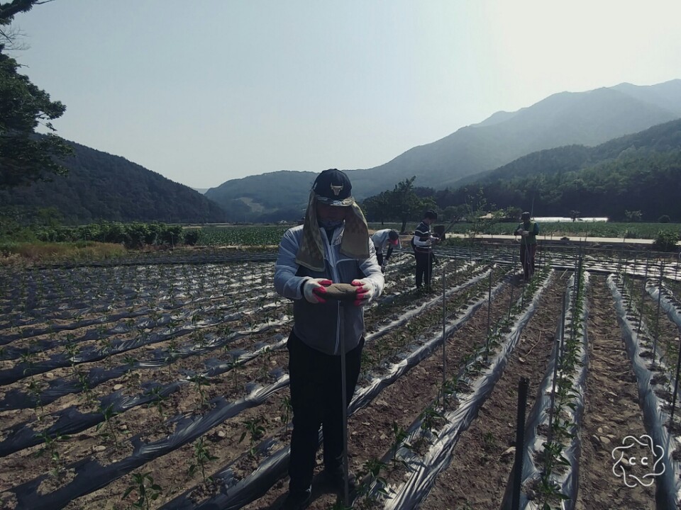 KakaoTalk_20170529_103835008.jpg