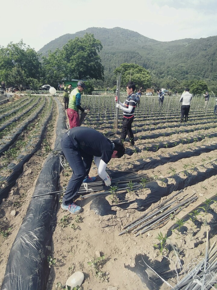 KakaoTalk_20170529_103838103.jpg