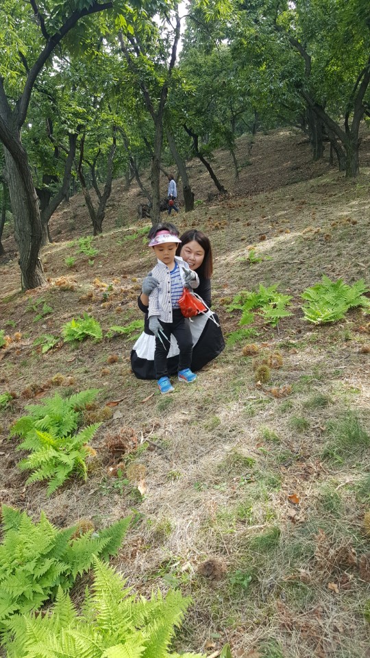 KakaoTalk_20170925_183042500.jpg