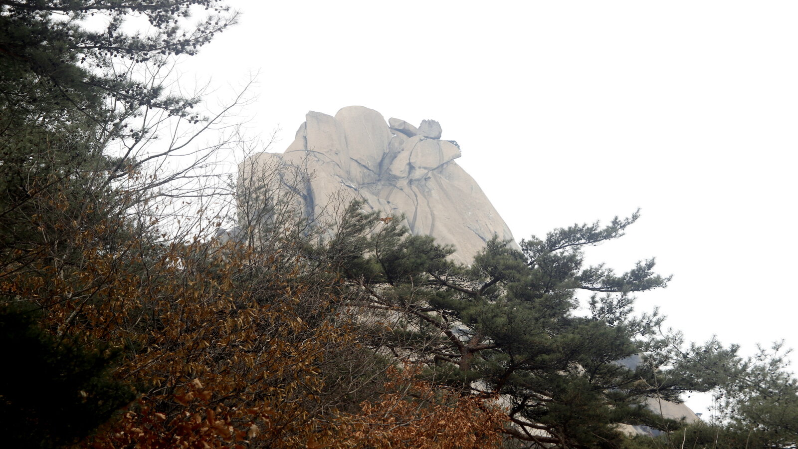 크기변환_사본 -_MG_8548.jpg