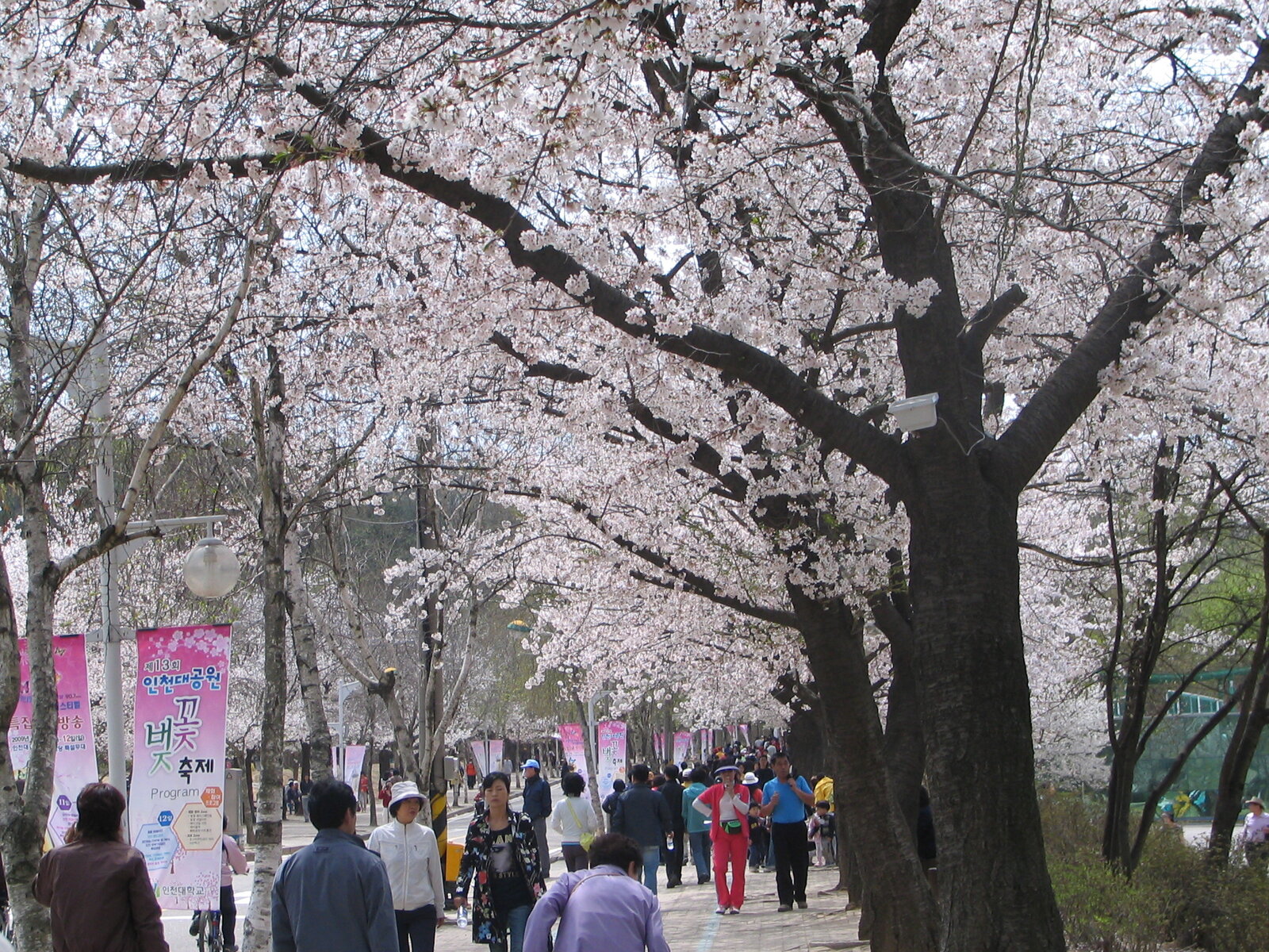 2009.04.14 005.jpg