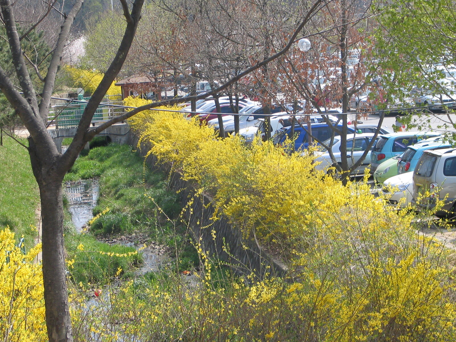 2009.04.14 035.jpg