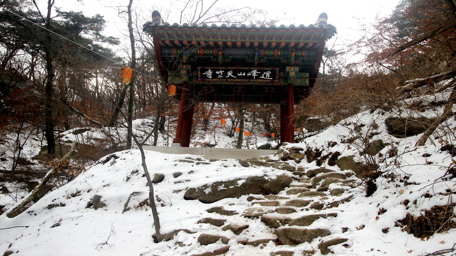 크기변환_사본 -_MG_8602.jpg