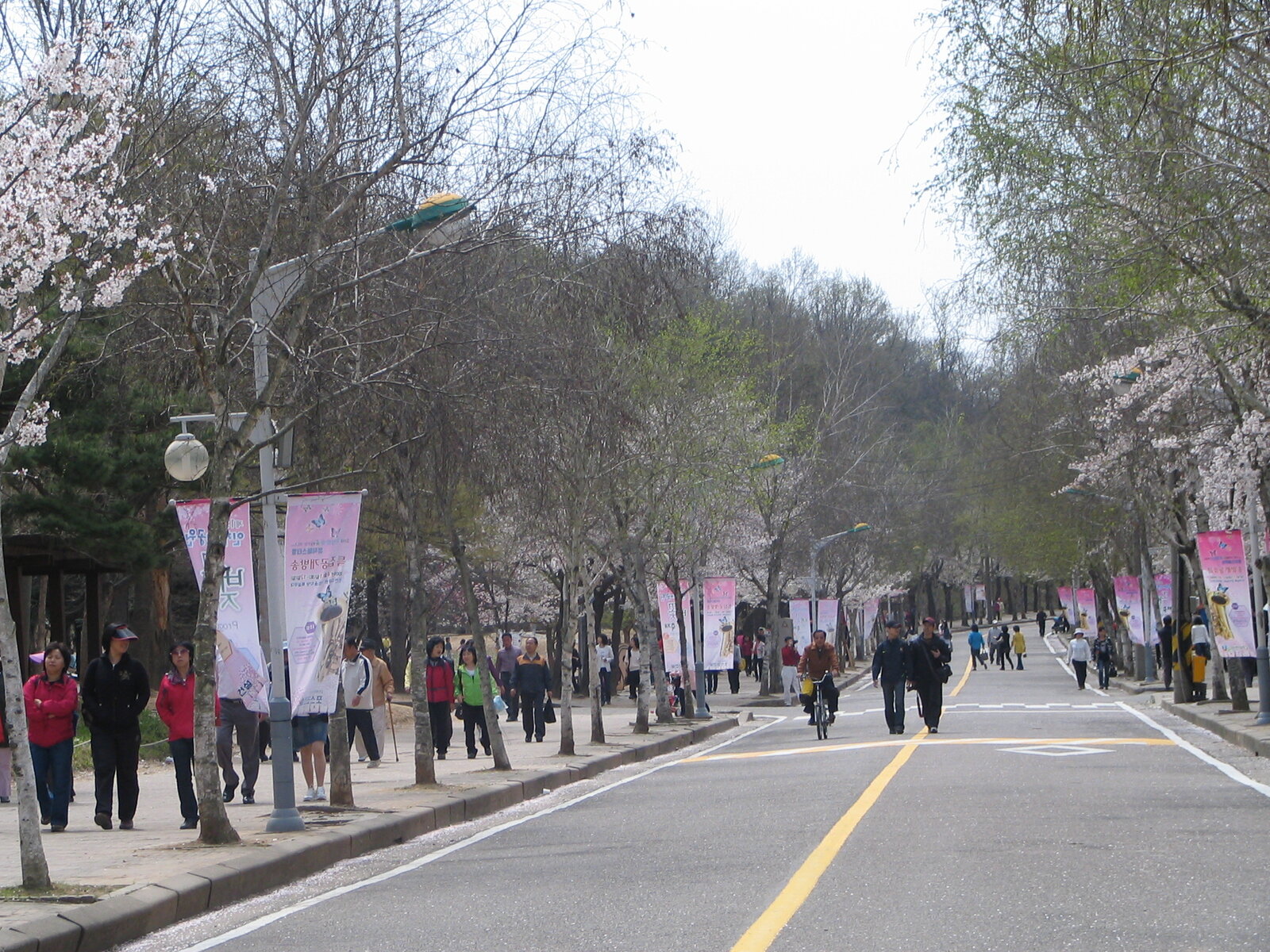 2009.04.14 004.jpg
