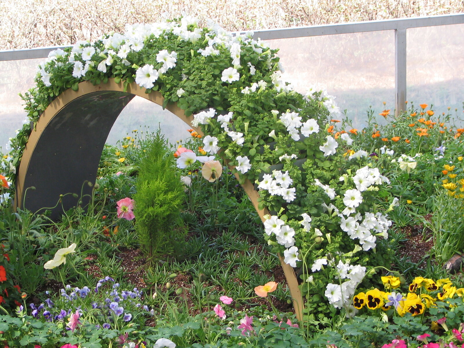2009.04.14 019.jpg