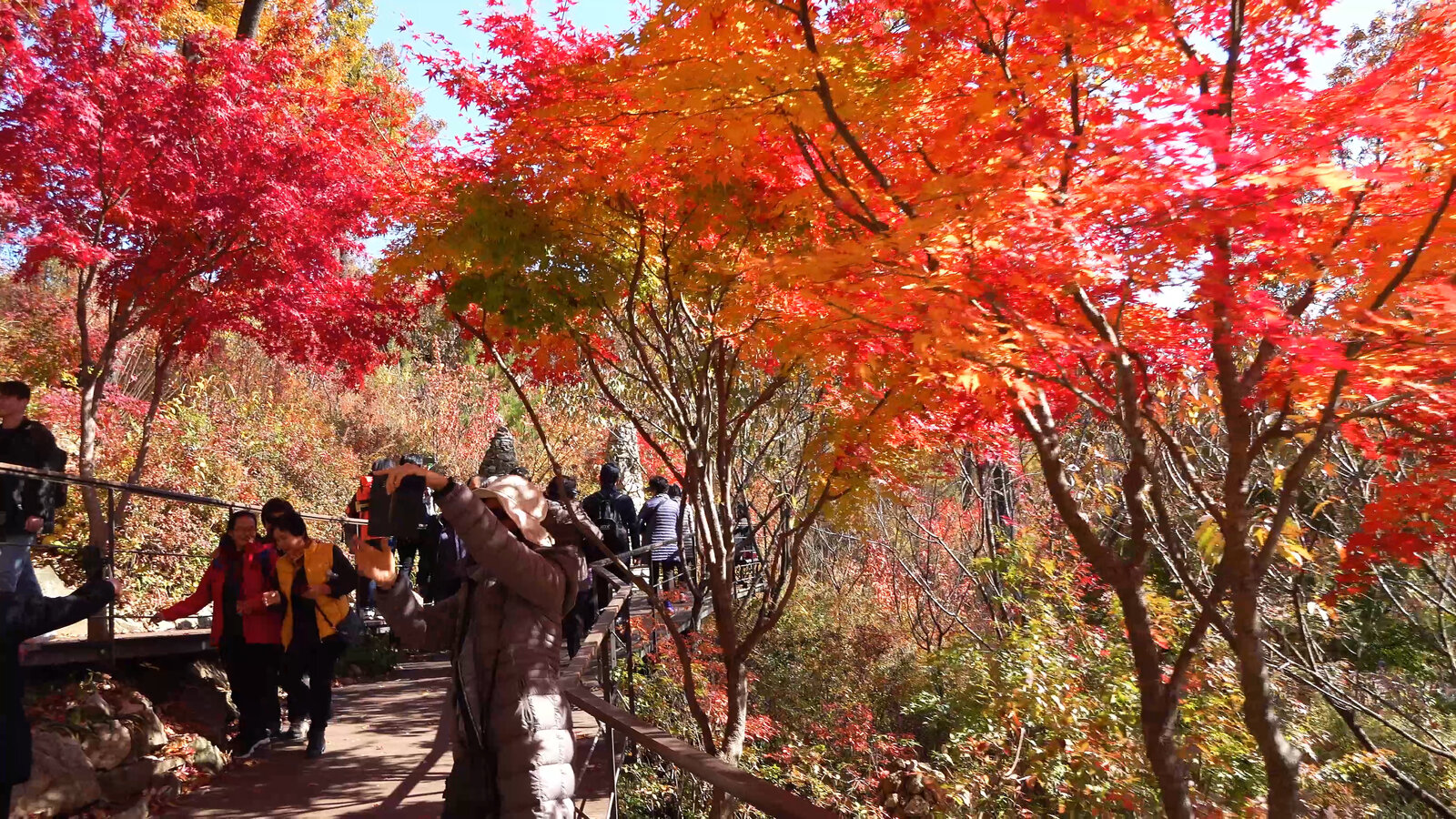 화담숩 4k.00_15_29_04.스틸039.jpg