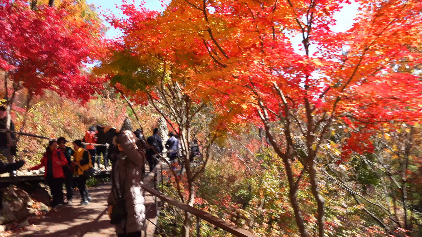 화담숩 4k.00_15_28_16.스틸037.jpg