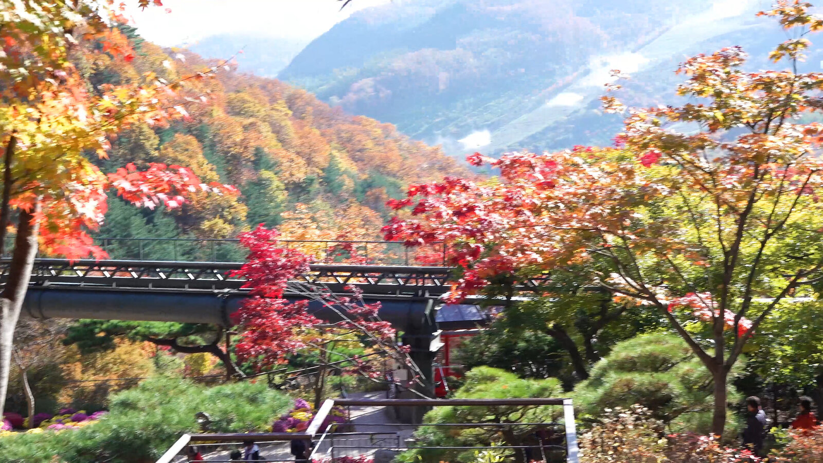 화담숩 4k.00_28_56_05.스틸119.jpg