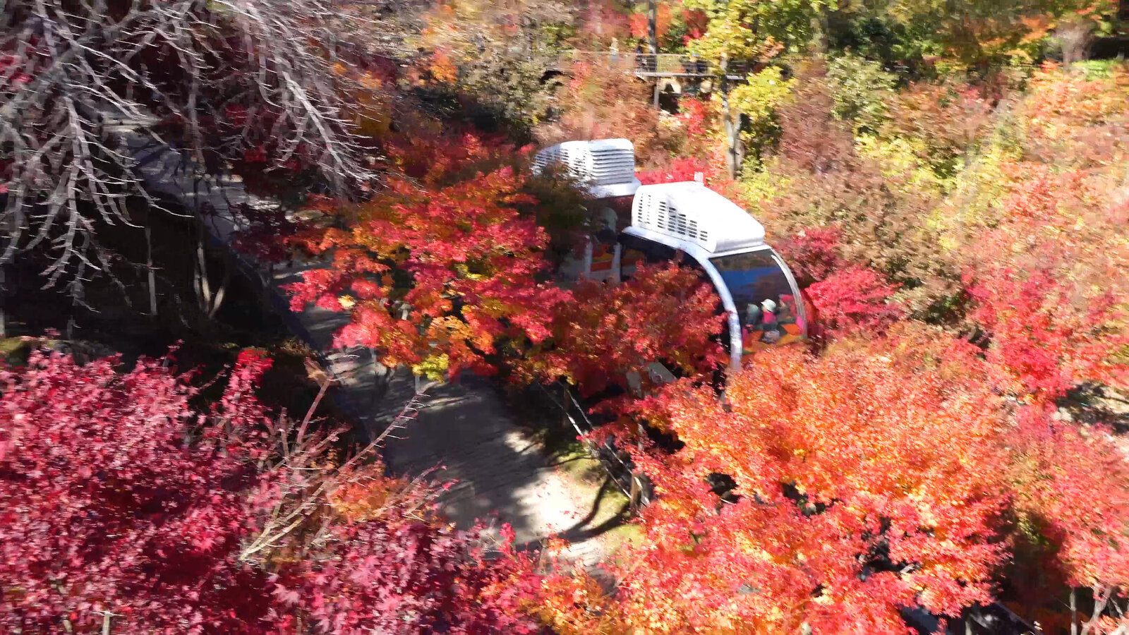 화담숩 4k.00_14_14_21.스틸029.jpg