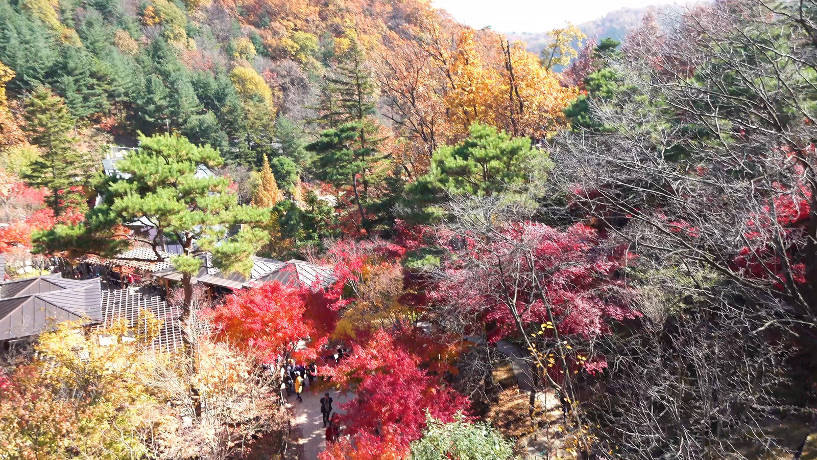 화담숩 4k.00_14_04_22.스틸027.jpg