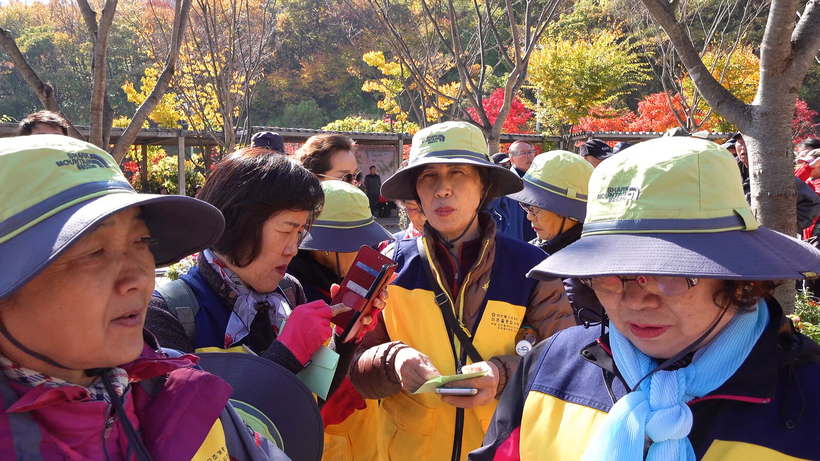 화담숩 4k.00_08_37_29.스틸011.jpg