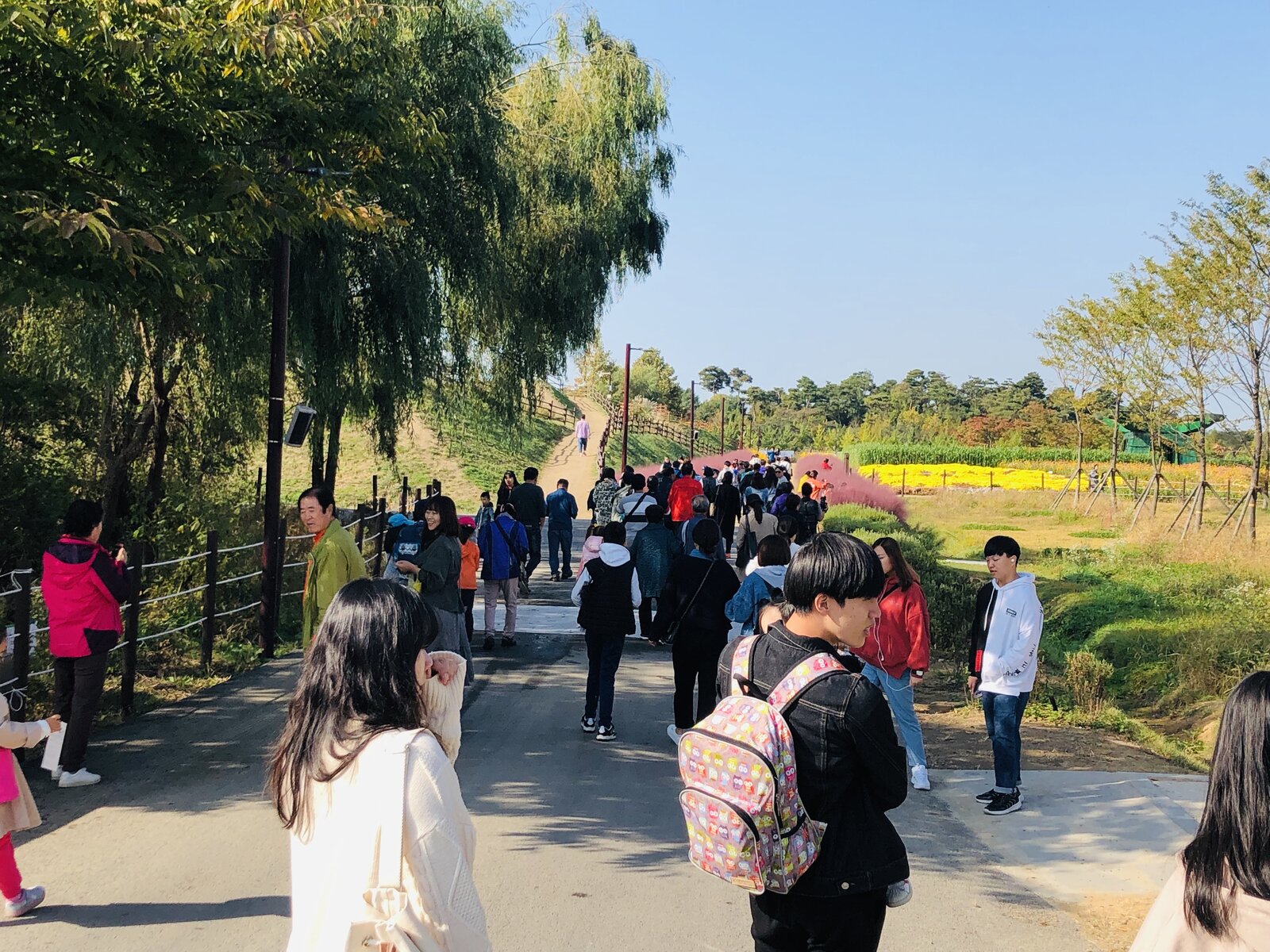 KakaoTalk_20191021_094054208_07.jpg